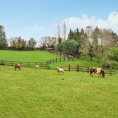 Cozy In Casa vacanze