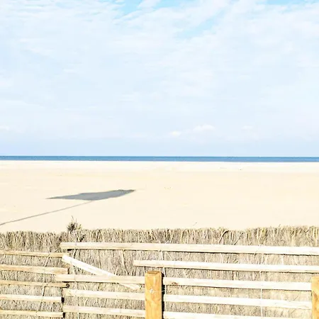 Cozy In With Wifi