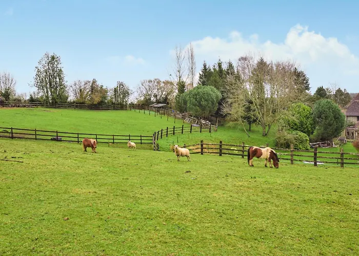 Cozy In Semesterbostad